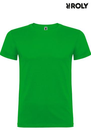 BEAGLE BAMBINO T-SHIRT M/C VERDE PRATO GR. 155