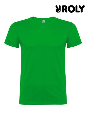 BEAGLE UOMO T-SHIRT M/C VERDE PRATO